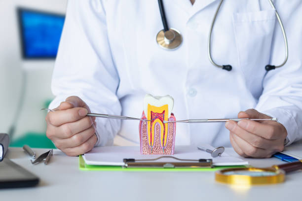 Best Emergency Dentist for Knocked-Out Tooth in Waldron, AR